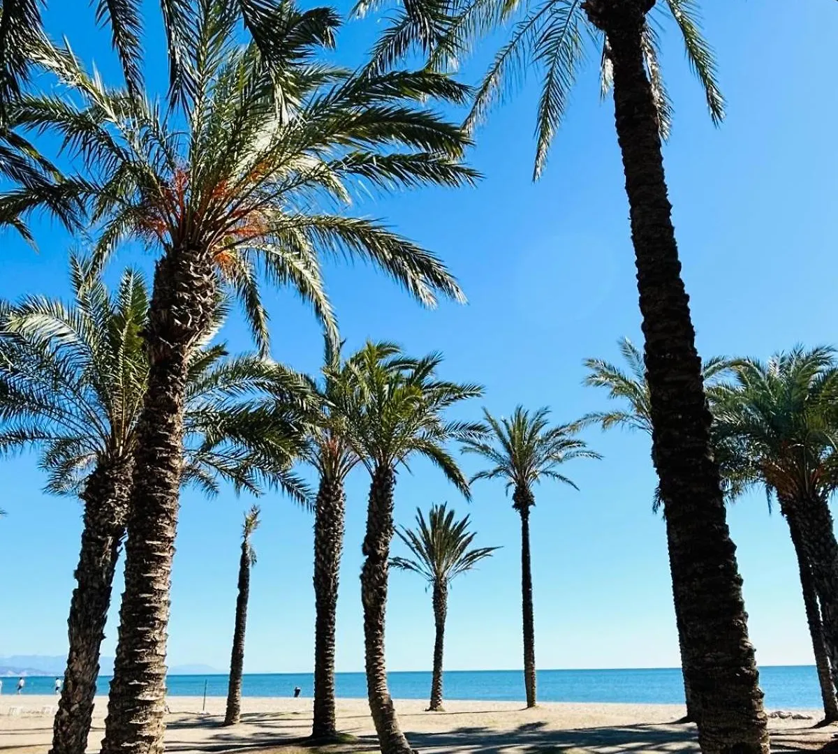 Chalet Con Piscina Privada En Primera Linea De Playa Torremolinos Villa